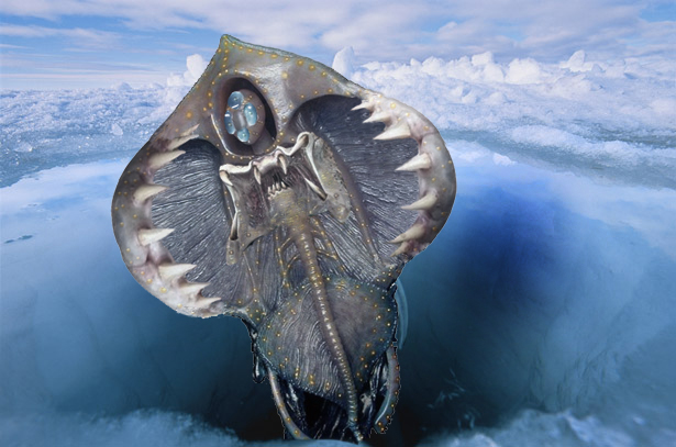 Photoshop-Design von zang80 für DesignCrowd (Community Contests) | Design #8942760