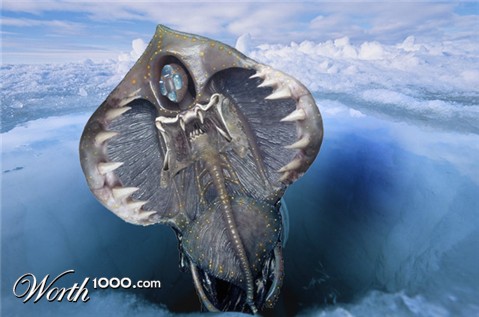 Photoshop Design by zang80