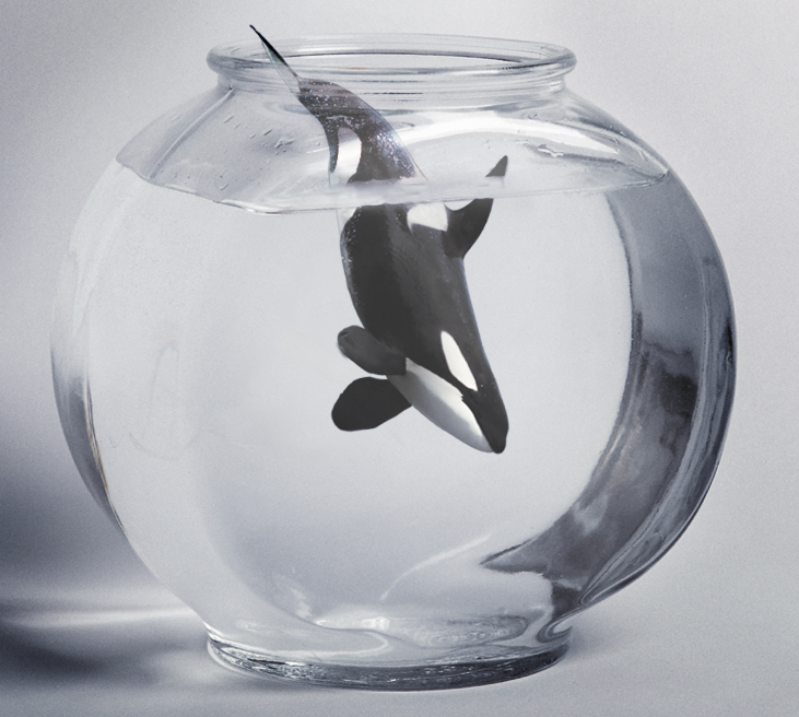 Diseño de Photoshop por hezijacob para DesignCrowd (Community Contests) | Diseño #8946282