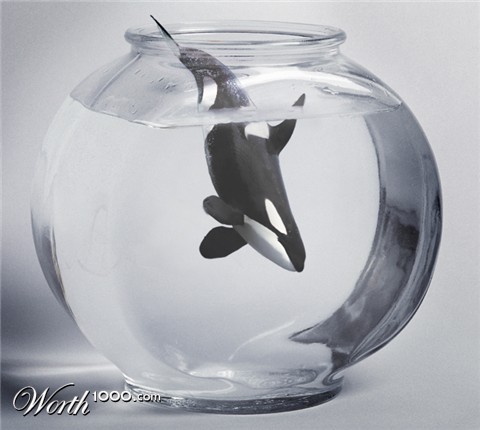 Photoshop Design by hezijacob