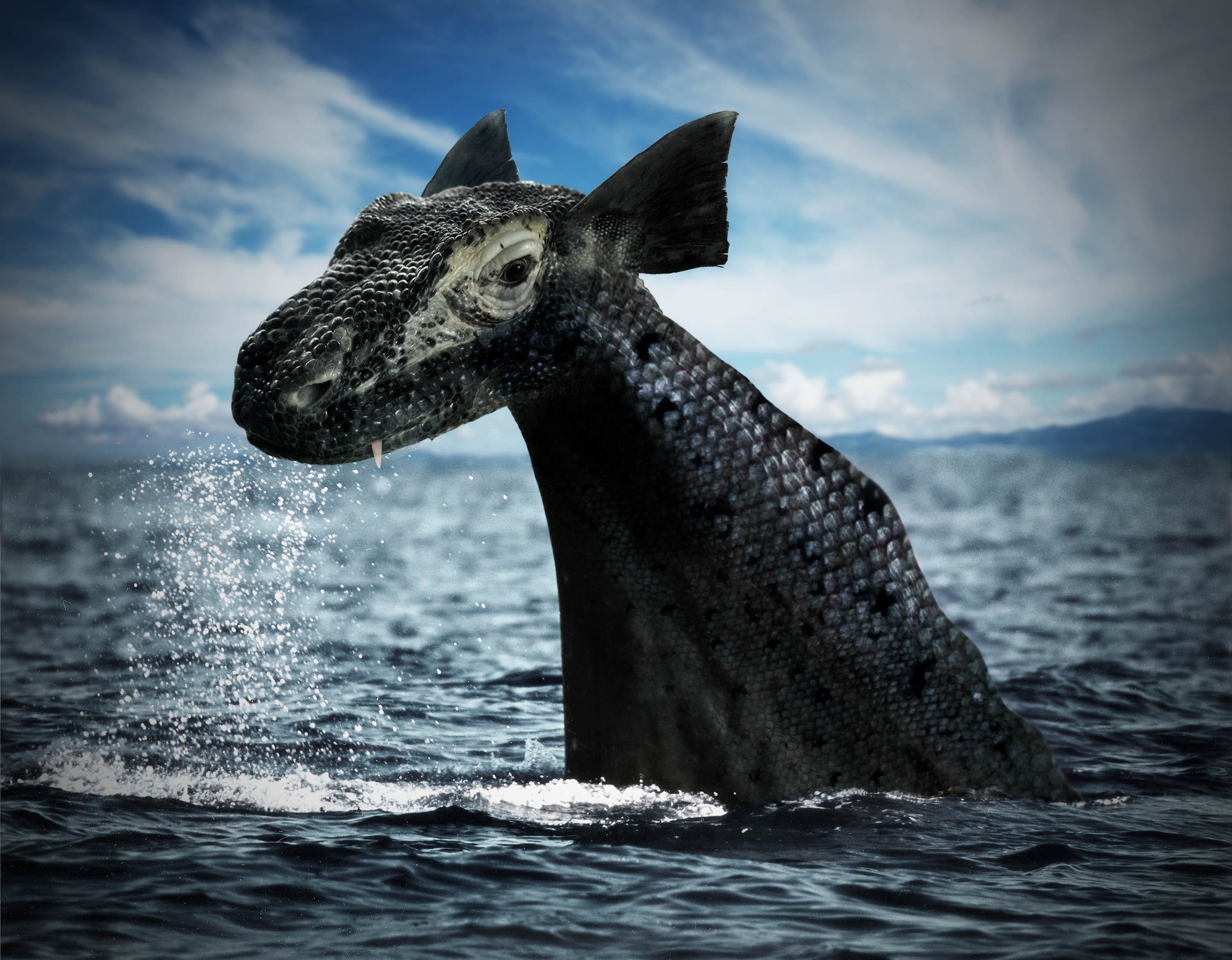 Photoshop Design by Monkeysniffer08 for DesignCrowd (Community Contests) | Design #8942745