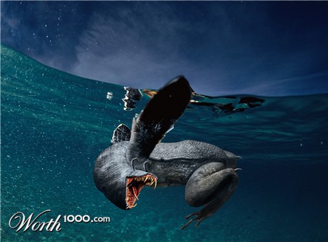 Photoshop Design by PixelTestMT