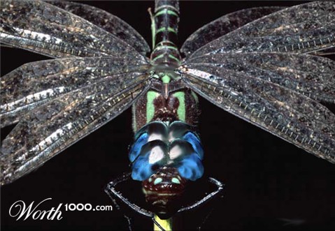 Photoshop Design by Maquesta