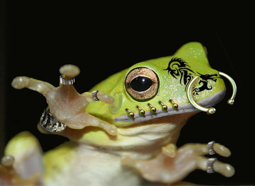 Photoshop Design by acidrain0117 for DesignCrowd (Community Contests) | Design #8945863