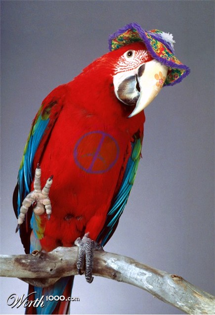 Photoshop Design by meCarmen