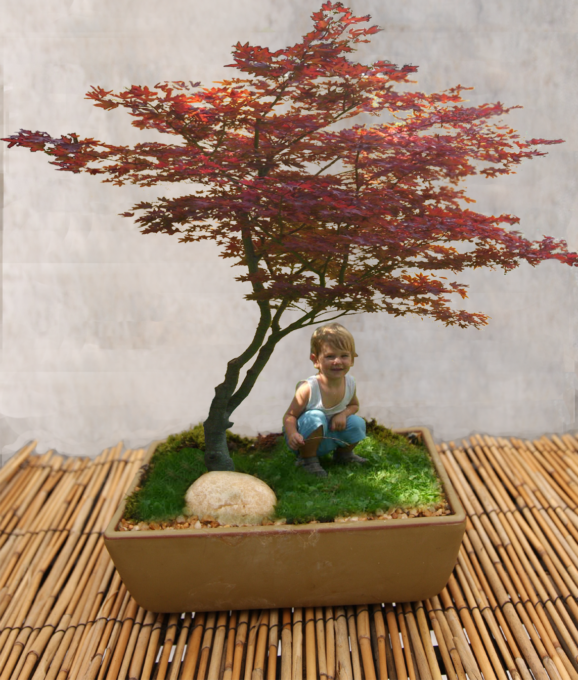 Diseño de Photoshop por fouljack para DesignCrowd (Community Contests) | Diseño #8946252