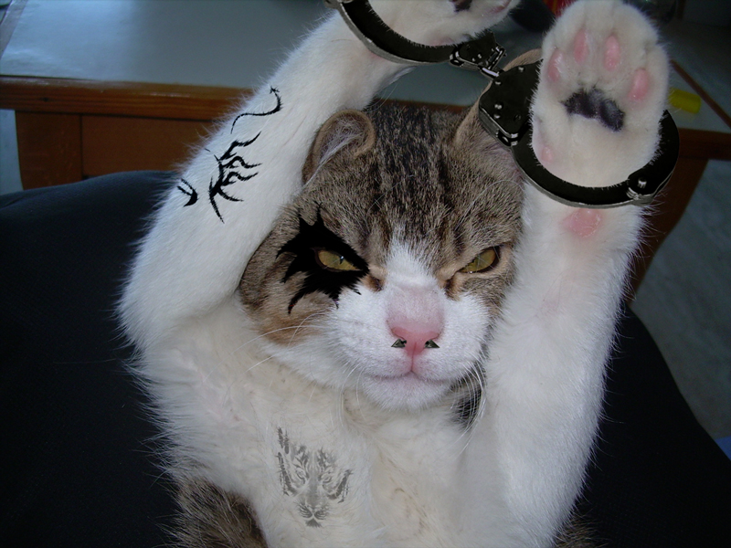 Photoshop Design by rico777 for DesignCrowd (Community Contests) | Design #8945857