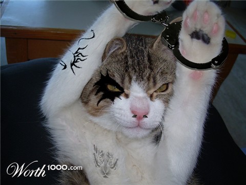 Photoshop Design by rico777