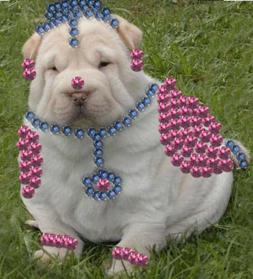 Design Photoshop par ctanuja pour DesignCrowd (Community Contests) | Design #8945913