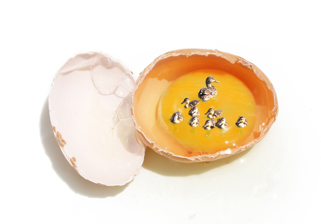 Photoshop Design by Zebulba76 for DesignCrowd (Community Contests) | Design #8946367