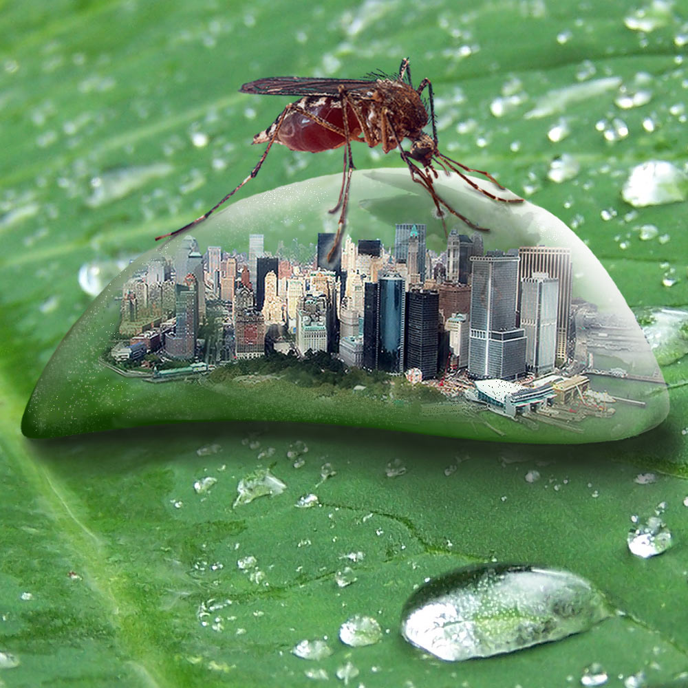 Photoshop Design by Onepixel for DesignCrowd (Community Contests) | Design #8946341