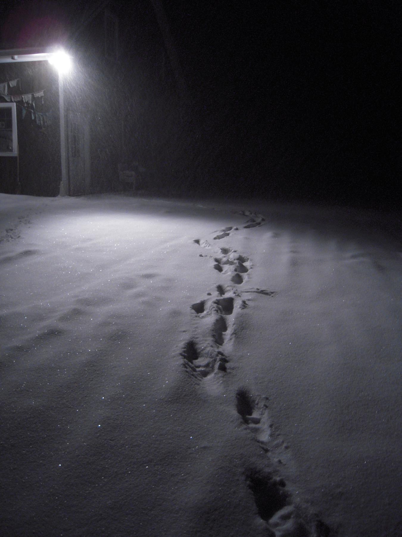 Photography by bbfarmer for DesignCrowd (Community Contests) | Design #8939317