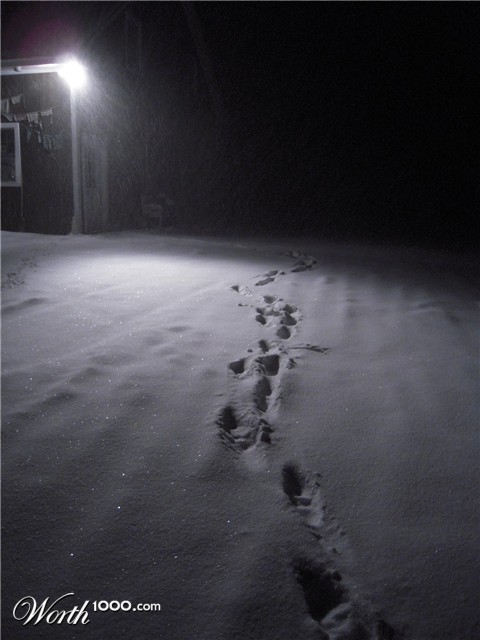 Photography by bbfarmer