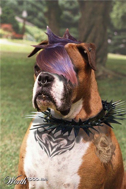 Photoshop Design by jokesalot3