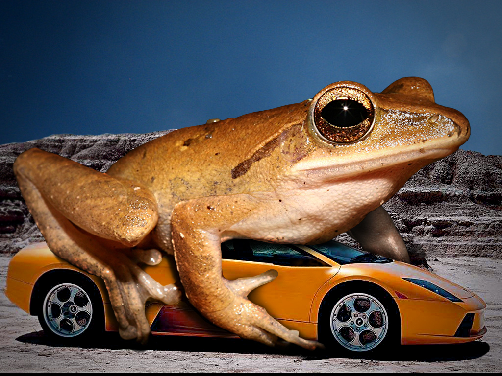 Photoshop Design by Justincorkum7 for DesignCrowd (Community Contests) | Design #8946381