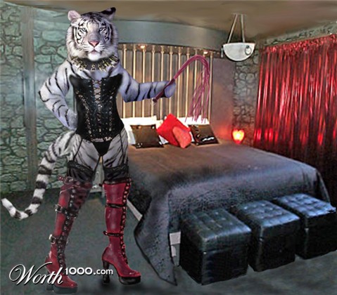 Photoshop Design by Maquesta