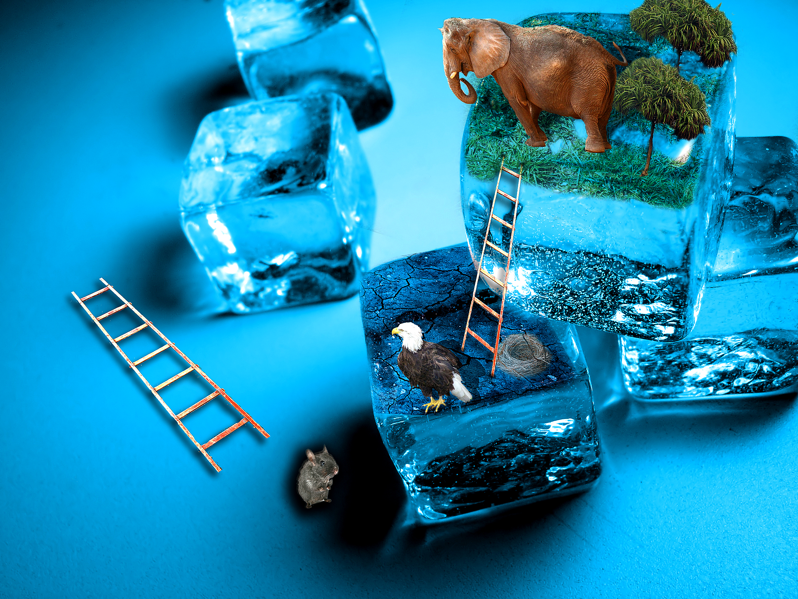 Photoshop Design by allstate for DesignCrowd (Community Contests) | Design #8946371