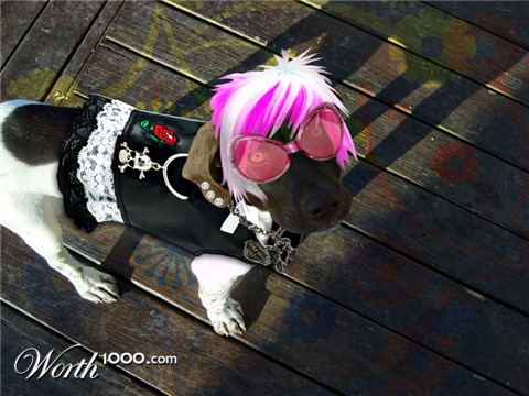 Photoshop Design by tropicalbear