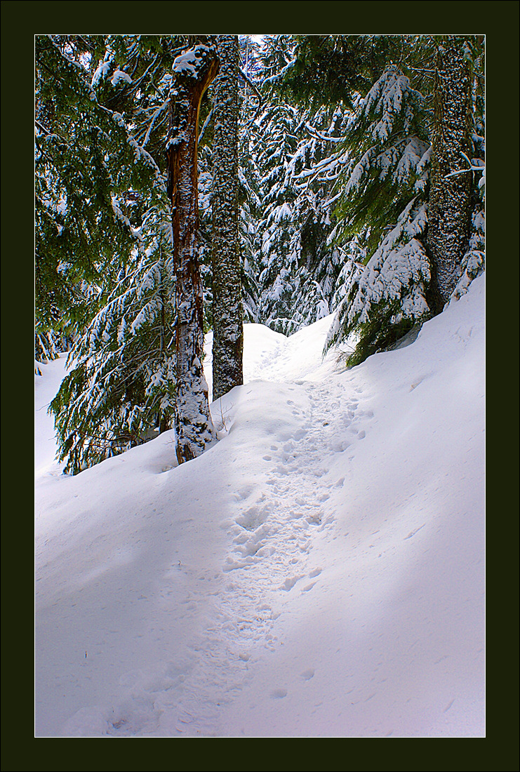 Photography by Francoise for DesignCrowd (Community Contests) | Design #8939301