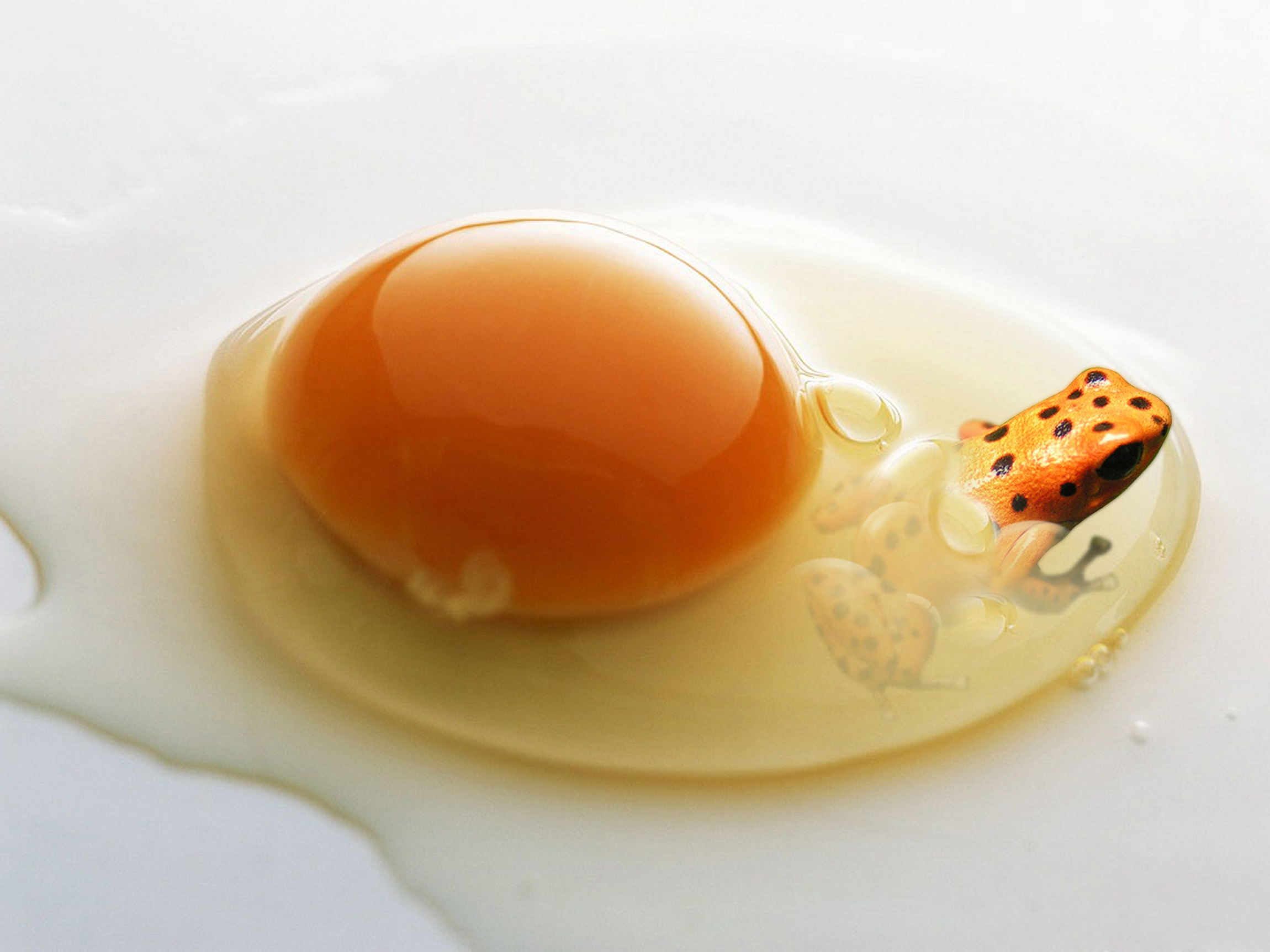 Photoshop-Design von PixelTestMT für DesignCrowd (Community Contests) | Design #8946361