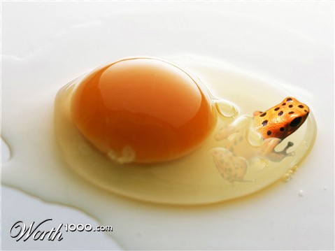 Photoshop Design by PixelTestMT