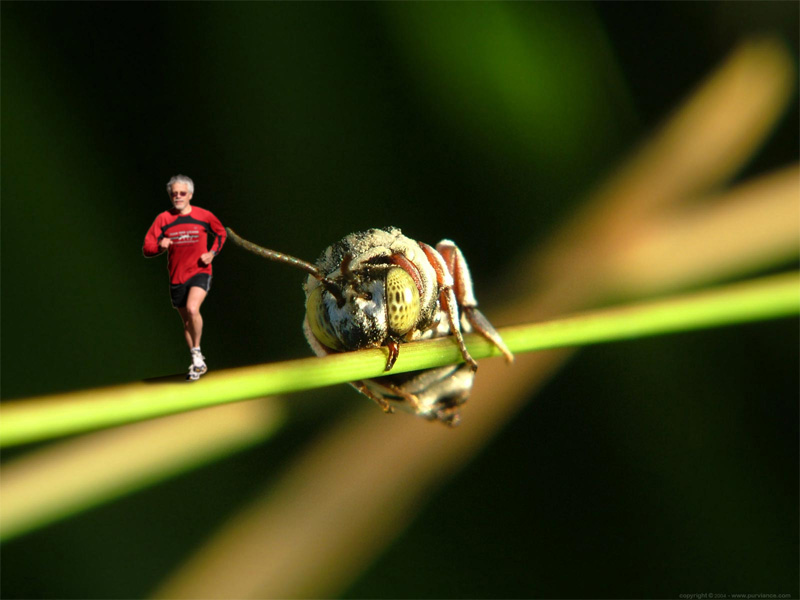 Diseño de Photoshop por paulrs00 para DesignCrowd (Community Contests) | Diseño #8946421