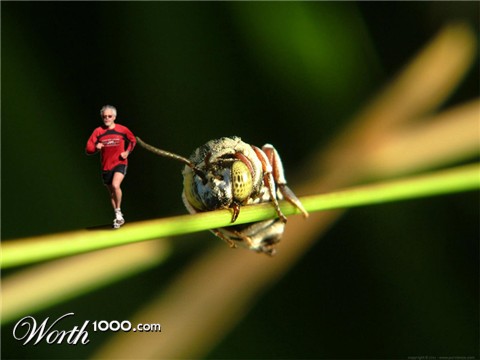 Photoshop Design by paulrs00