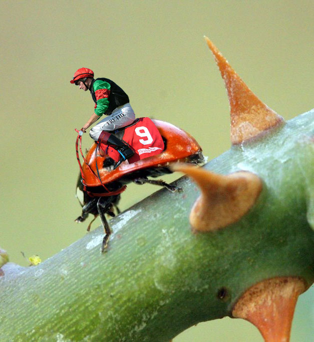 Design Photoshop par WorthyNick pour DesignCrowd (Community Contests) | Design #8946331