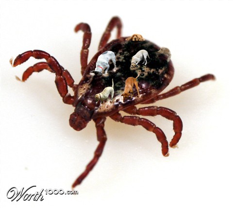 Photoshop Design by PeterAAAWelch