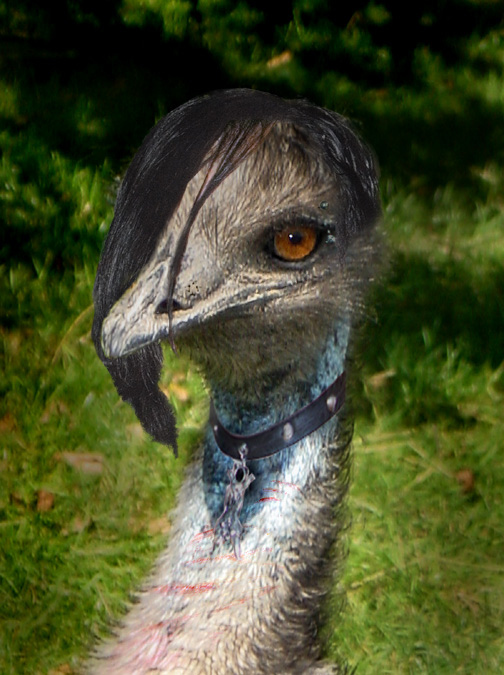 Diseño de Photoshop por Acousticrat para DesignCrowd (Community Contests) | Diseño #8945954