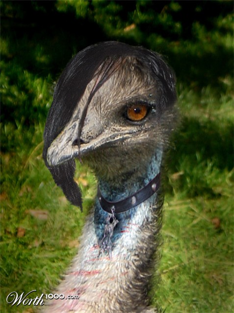 Photoshop Design by Acousticrat