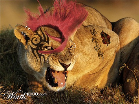 Photoshop Design by pochiex2