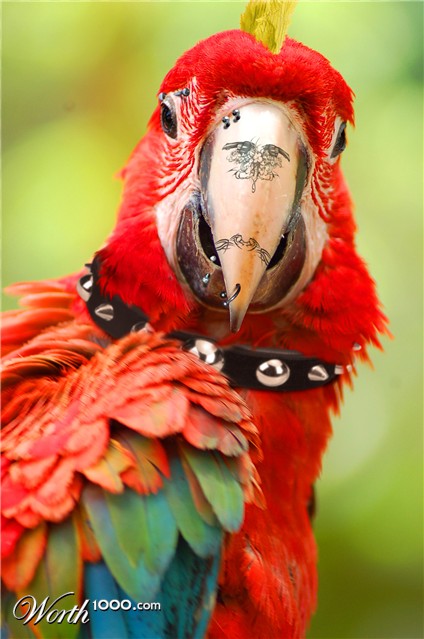 Photoshop Design by Monkeysniffer08