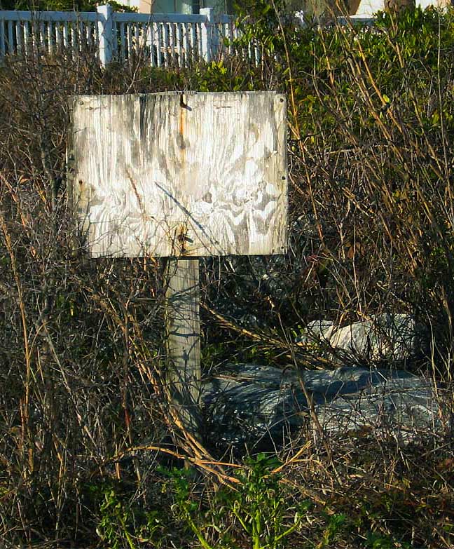 Fotografie von Rubees für DesignCrowd (Community Contests) | Design #8938769