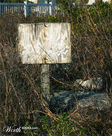 Photography by Rubees