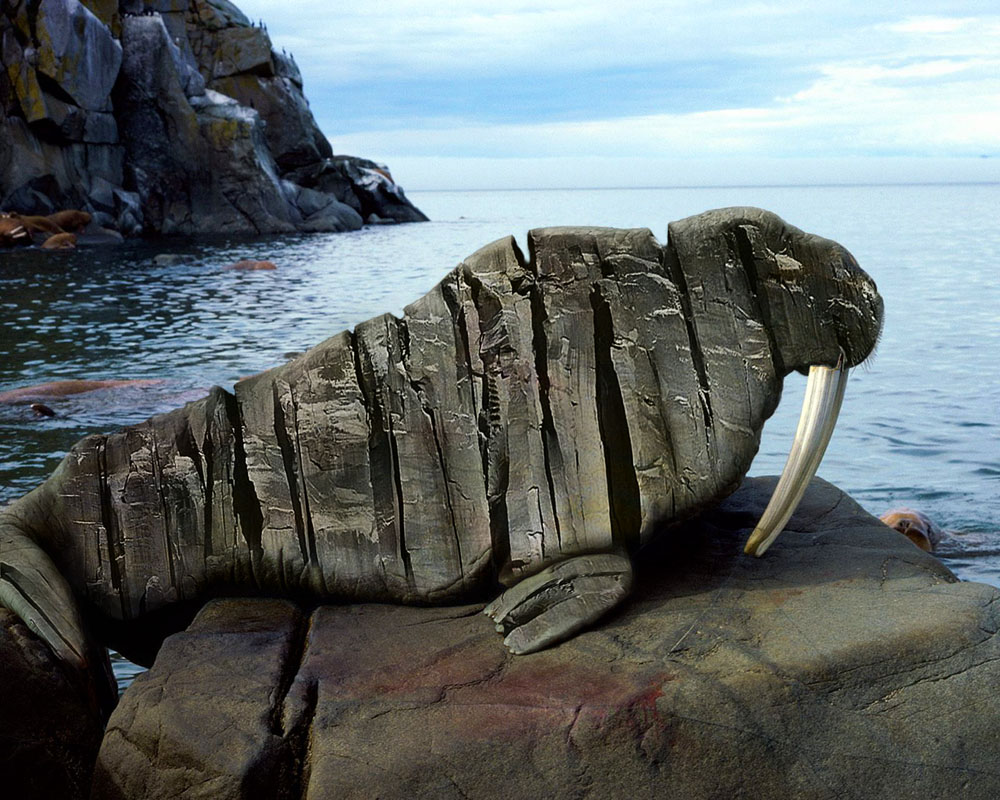 Photoshop Design by urnmns for DesignCrowd (Community Contests) | Design #8942079