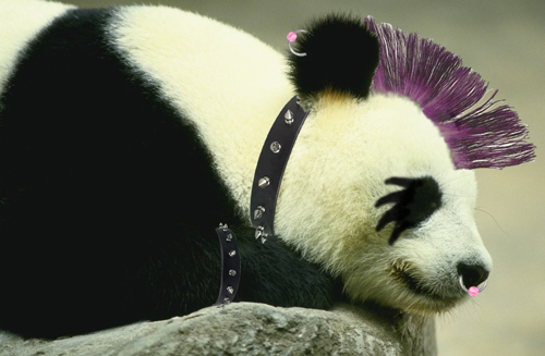 Photoshop Design by Mordey for DesignCrowd (Community Contests) | Design #8945992