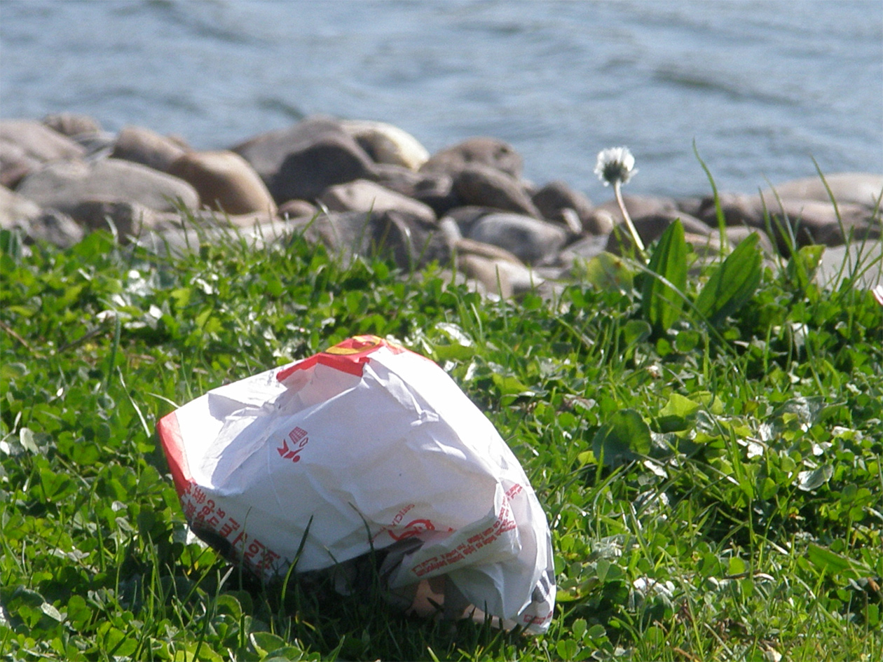 Fotografie von ikbenheelerglief für DesignCrowd (Community Contests) | Design #8939295