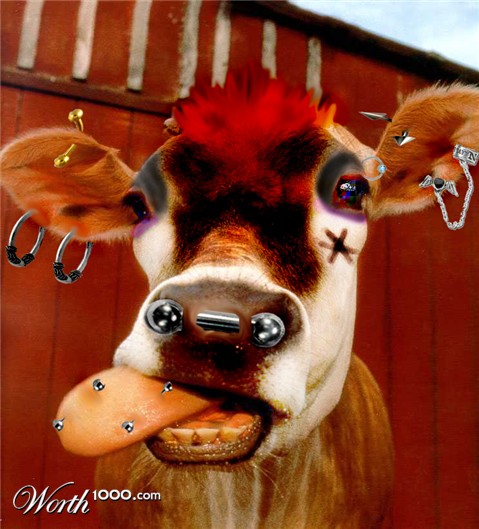 Photoshop Design by equus1996