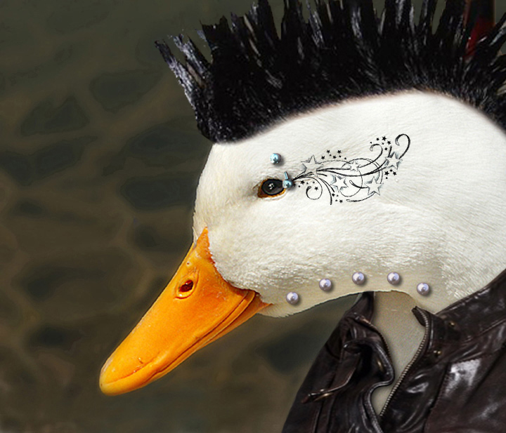 Photoshop Design by Quidebie for DesignCrowd (Community Contests) | Design #8946041