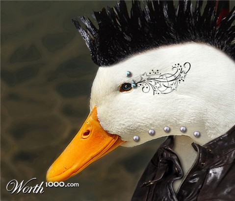 Photoshop Design by Quidebie