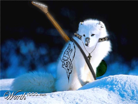 Photoshop Design by josel8