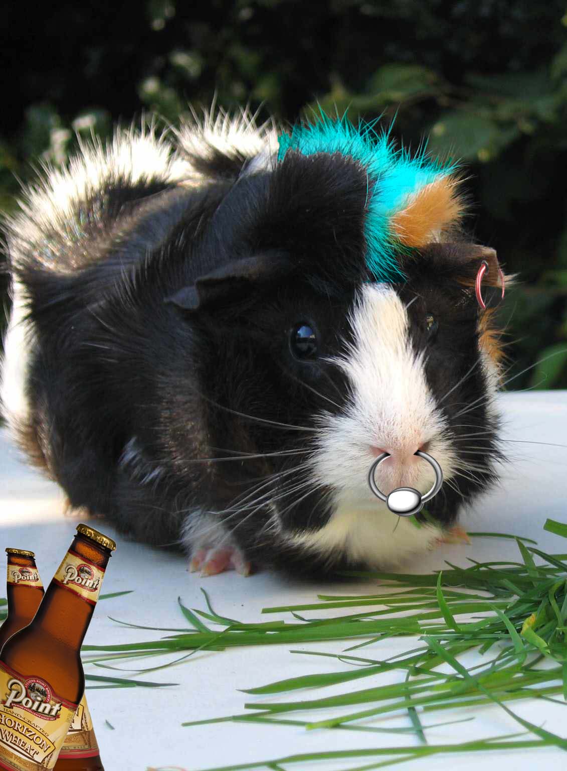 Photoshop Design by Kadddah for DesignCrowd (Community Contests) | Design #8946054