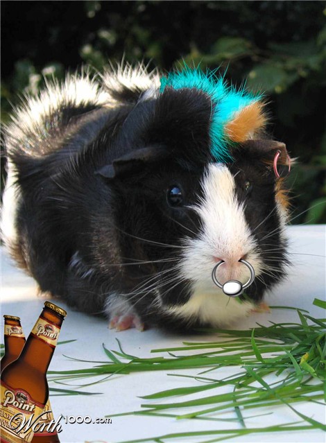 Photoshop Design by Kadddah