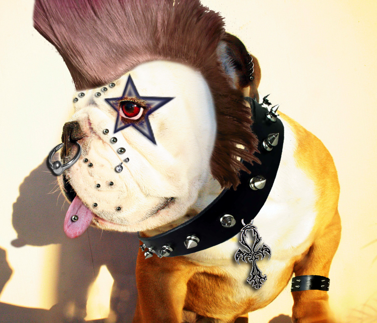 Photoshop Design by allstate for DesignCrowd (Community Contests) | Design #8946058