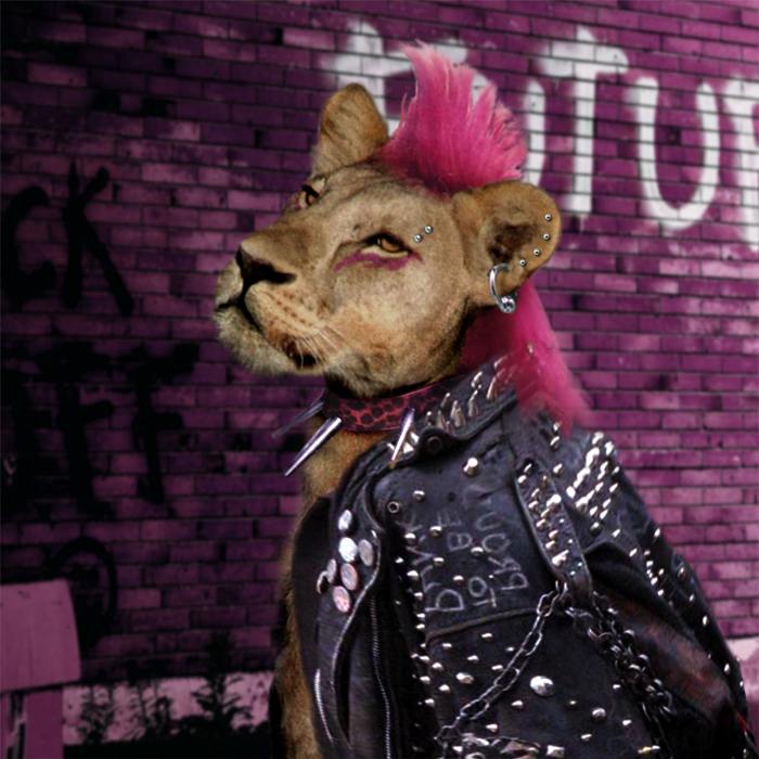 Photoshop Design by Boeschinator for DesignCrowd (Community Contests) | Design #8946047