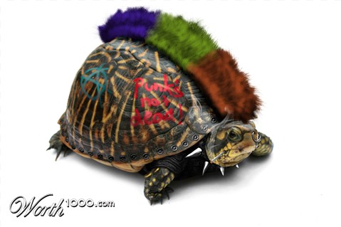 Photoshop Design by sternindernacht