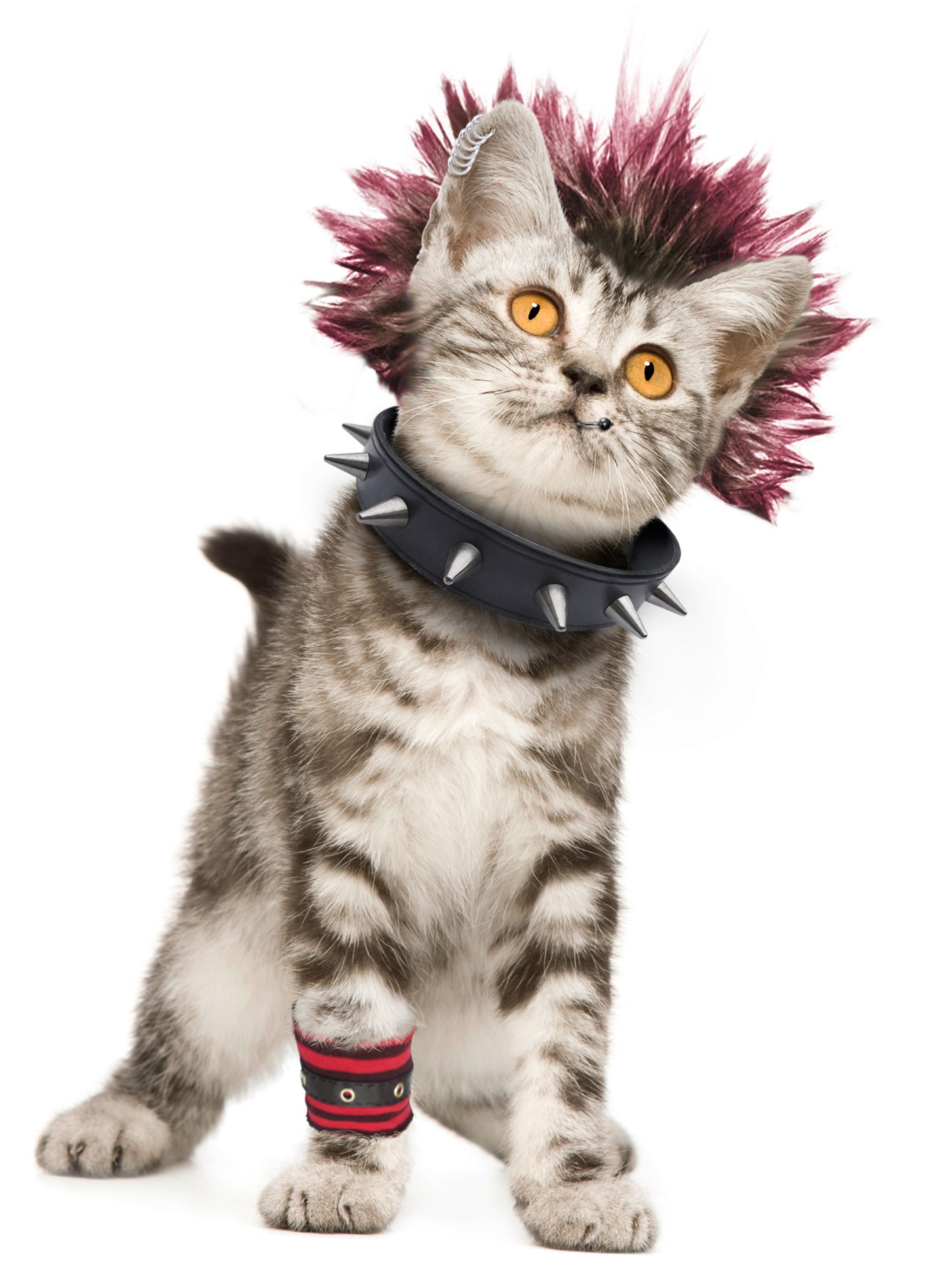 Photoshop Design by lucasdemon for DesignCrowd (Community Contests) | Design #8946076