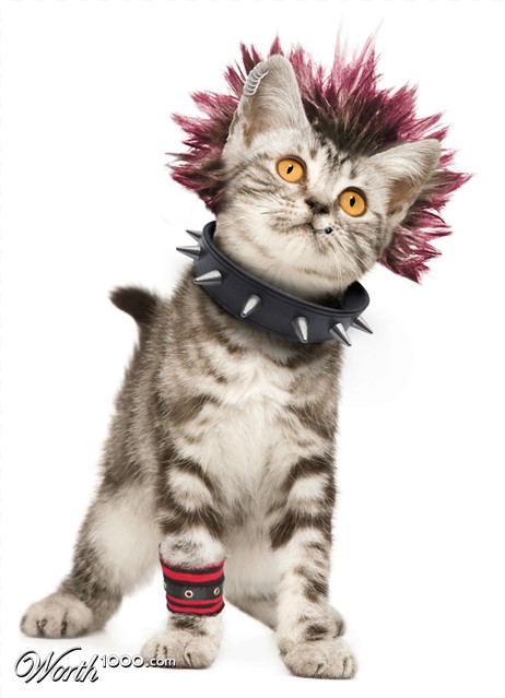 Photoshop Design by lucasdemon