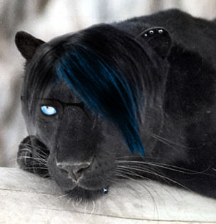 Photoshop Design by cigariscigar for DesignCrowd (Community Contests) | Design #8946093